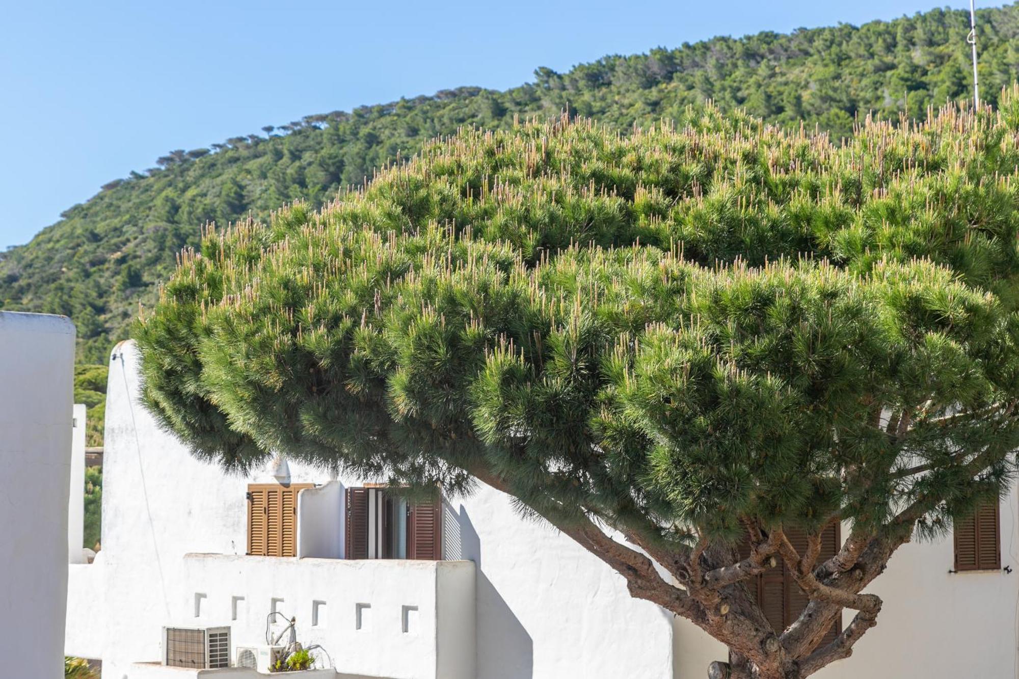 Adosado Nuevo Con Piscina, Playa, Garaje Y Jardin Los Canos De Meca Exterior foto